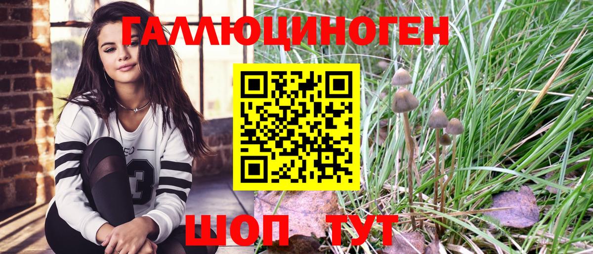 Луга  Псилоцибиновые грибы Cubensis  Псилоцибиновые грибы Magic Shrooms  Вход с VPN 
