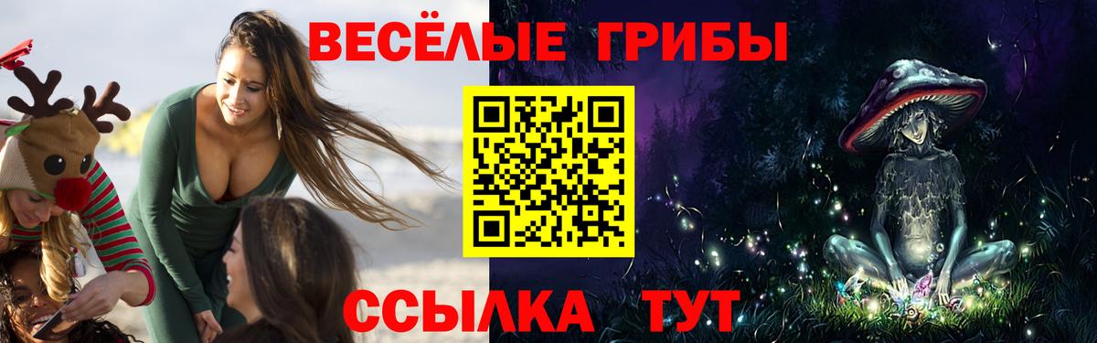 Псилоцибиновые грибы Psilocybine cubensis Луга